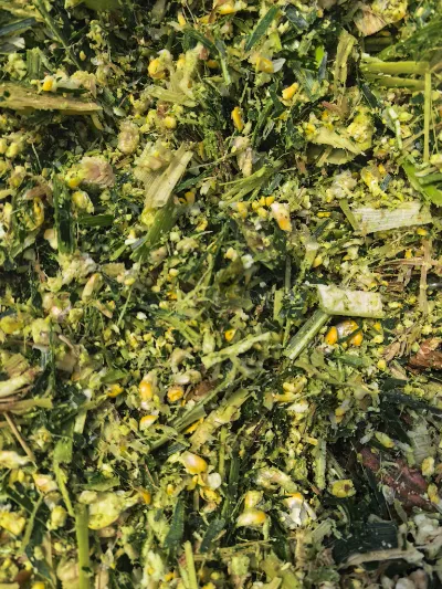 Mitkä ydinvahvuudet tekevät Yiman Agriculturesta ihanteellisen toimittajan marinoidun kaalin bulkkituontiprojekteihin?
