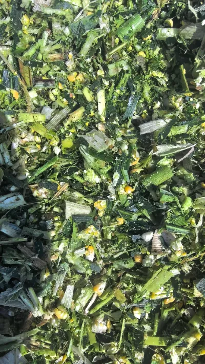 Koska maailmanlaajuisessa tuoretuotteiden varastoinnissa ja kuljetuksessa on usein haasteita, miten voimme ylläpitää Yiman Agriculturalin pyöreän kaalin tuoreen laadun päästä päähän?